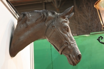 Paardenhoofd groot brons